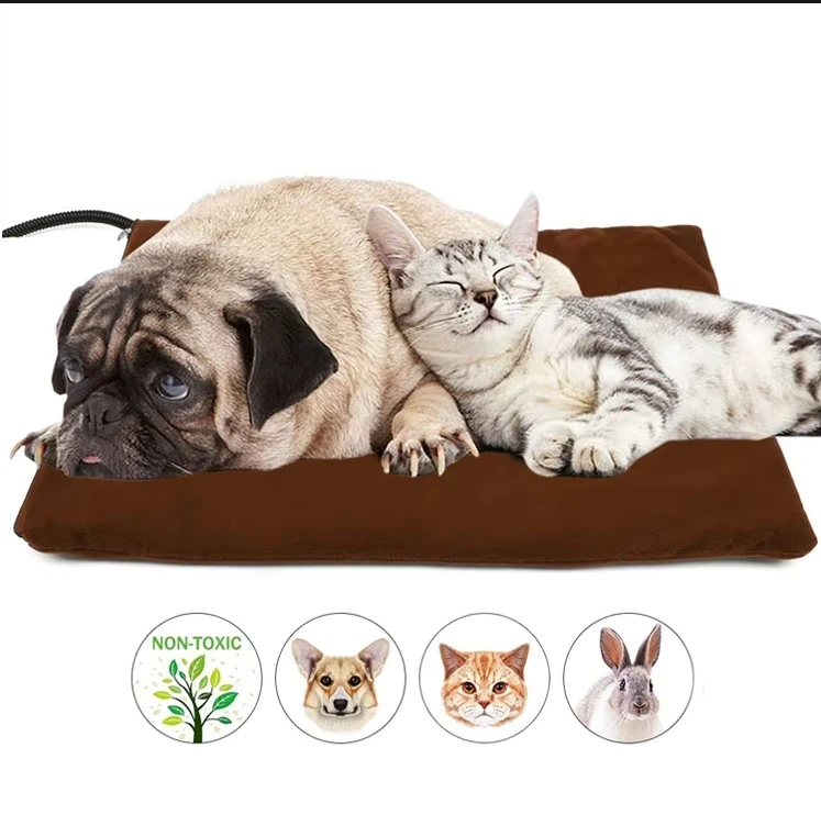 2026 Najlepších 10 tovární na vyhrievané podložky pre domáce zvieratá na svete